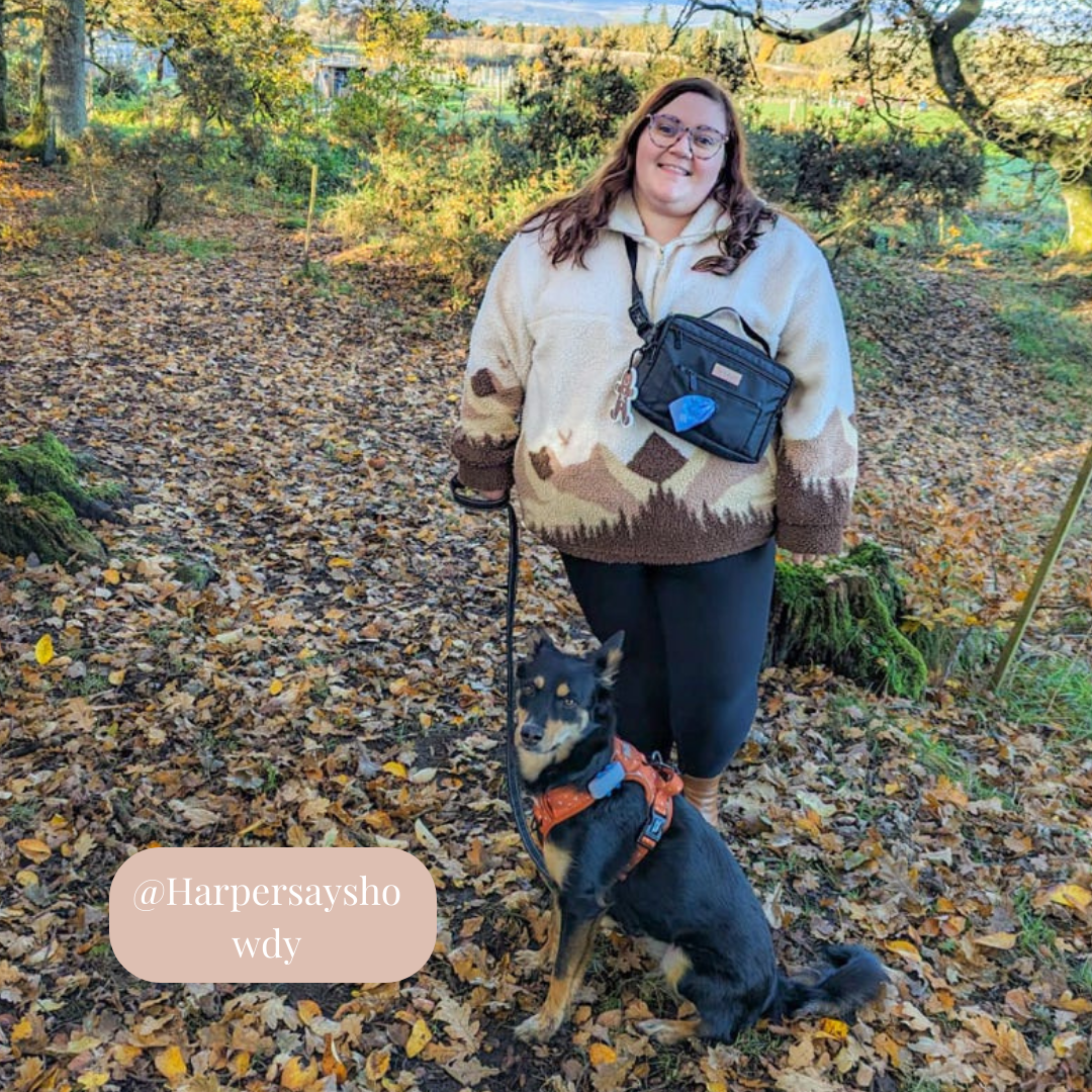 Bramble & Co - Dog Walking Bag - Black: Black Shoulder Strap