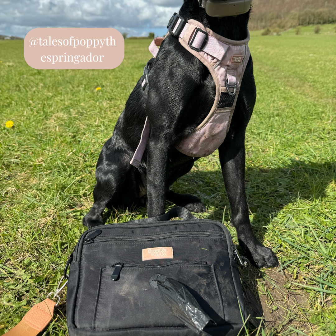 Bramble & Co - Dog Walking Bag - Black: Black Shoulder Strap