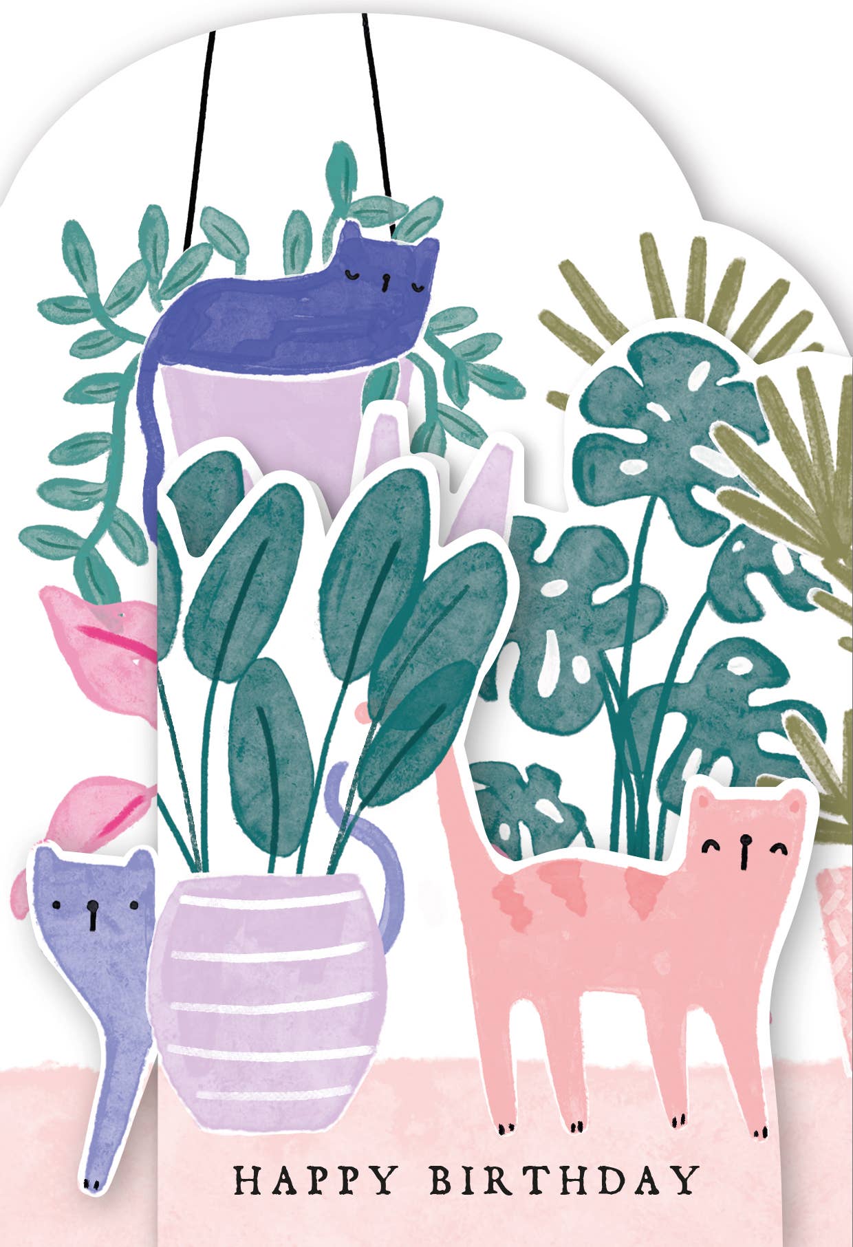 Hotchpotch - Coconut Cats & Plants