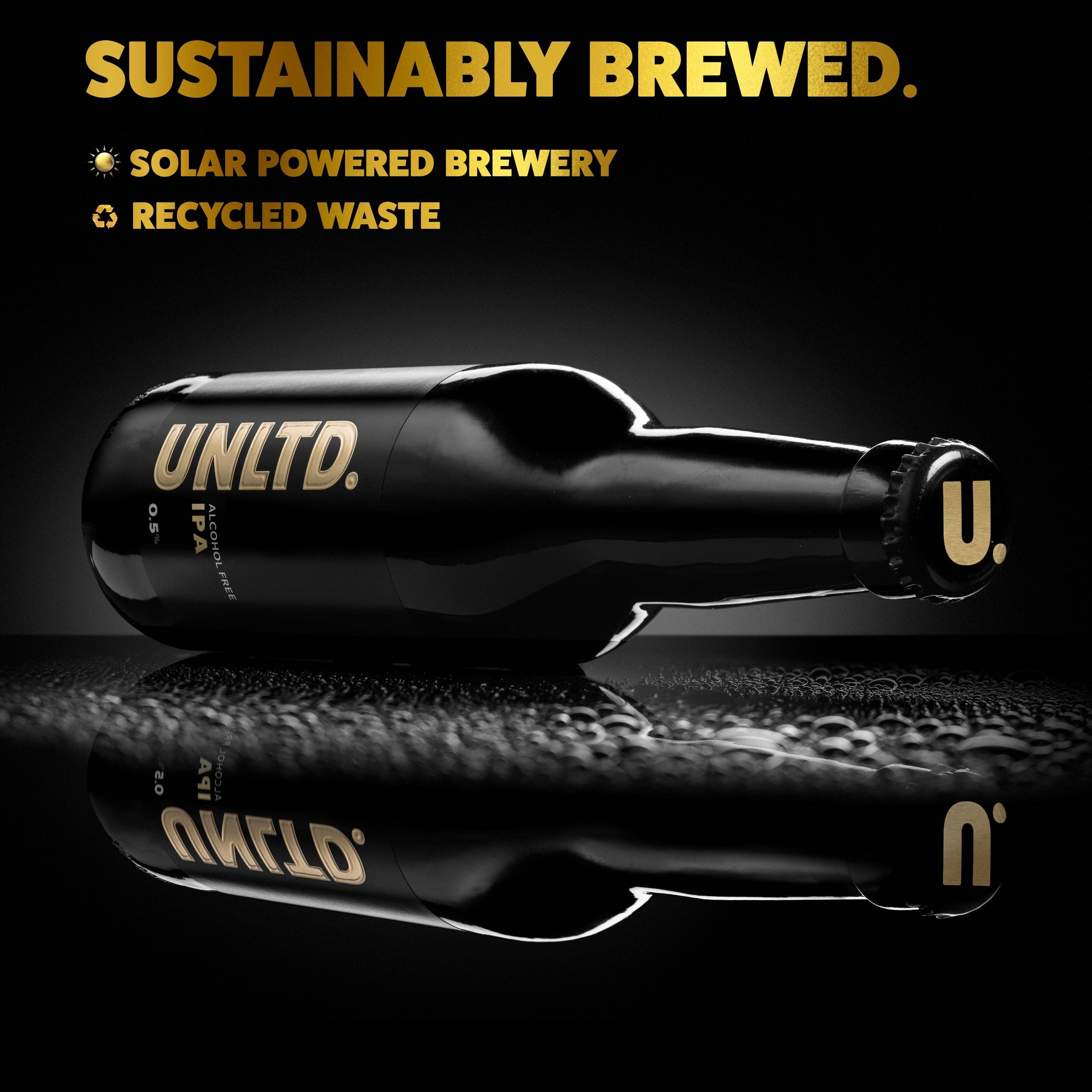 UNLTD. - UNLTD. IPA - Bottles