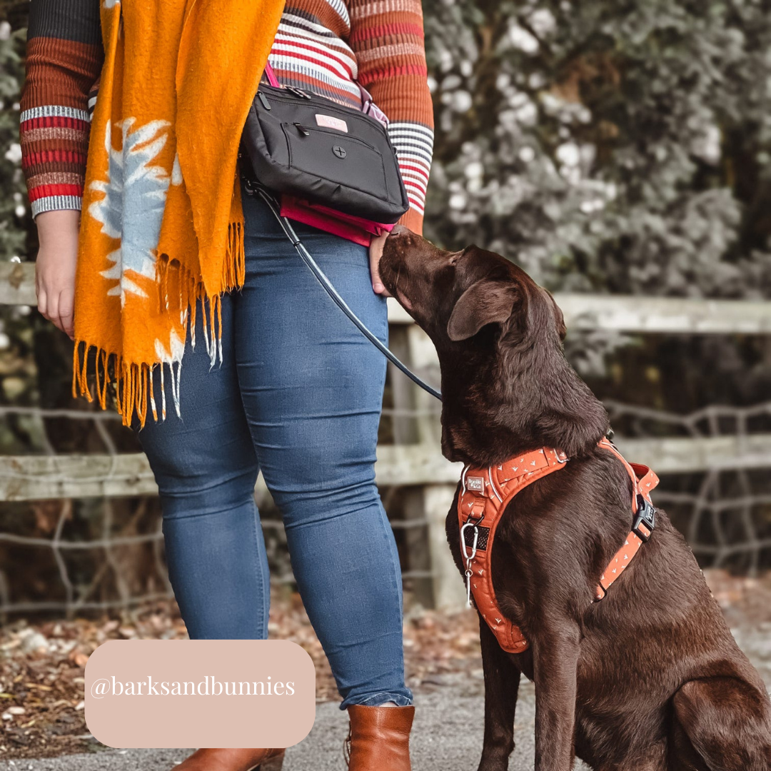 Bramble & Co - Dog Walking Bag - Black: Black Shoulder Strap