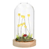 Yellow Flower LED Dome