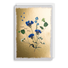 Pressed Flowers Just For You Card