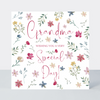 Everglade Grandma Special Day Card