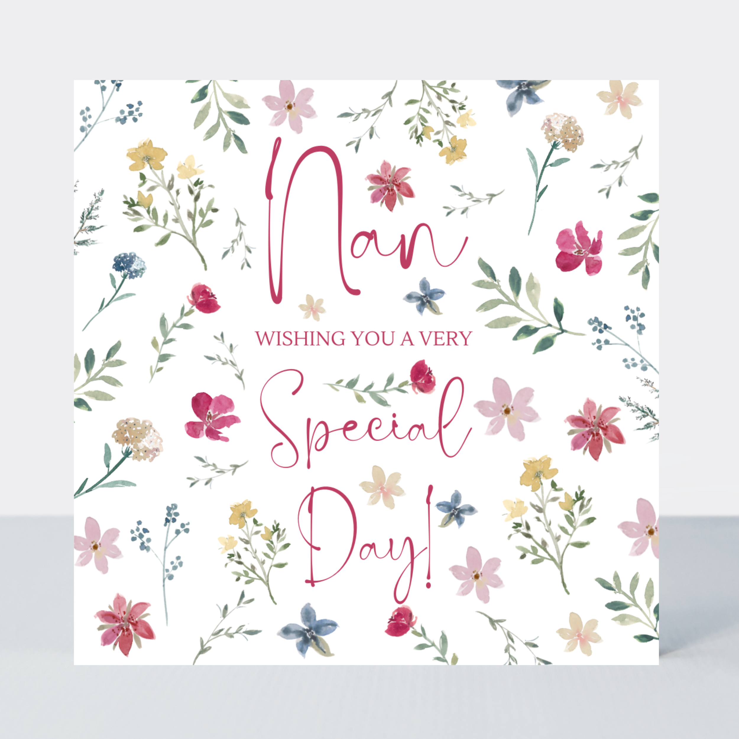 Everglade Nan Special Day Card