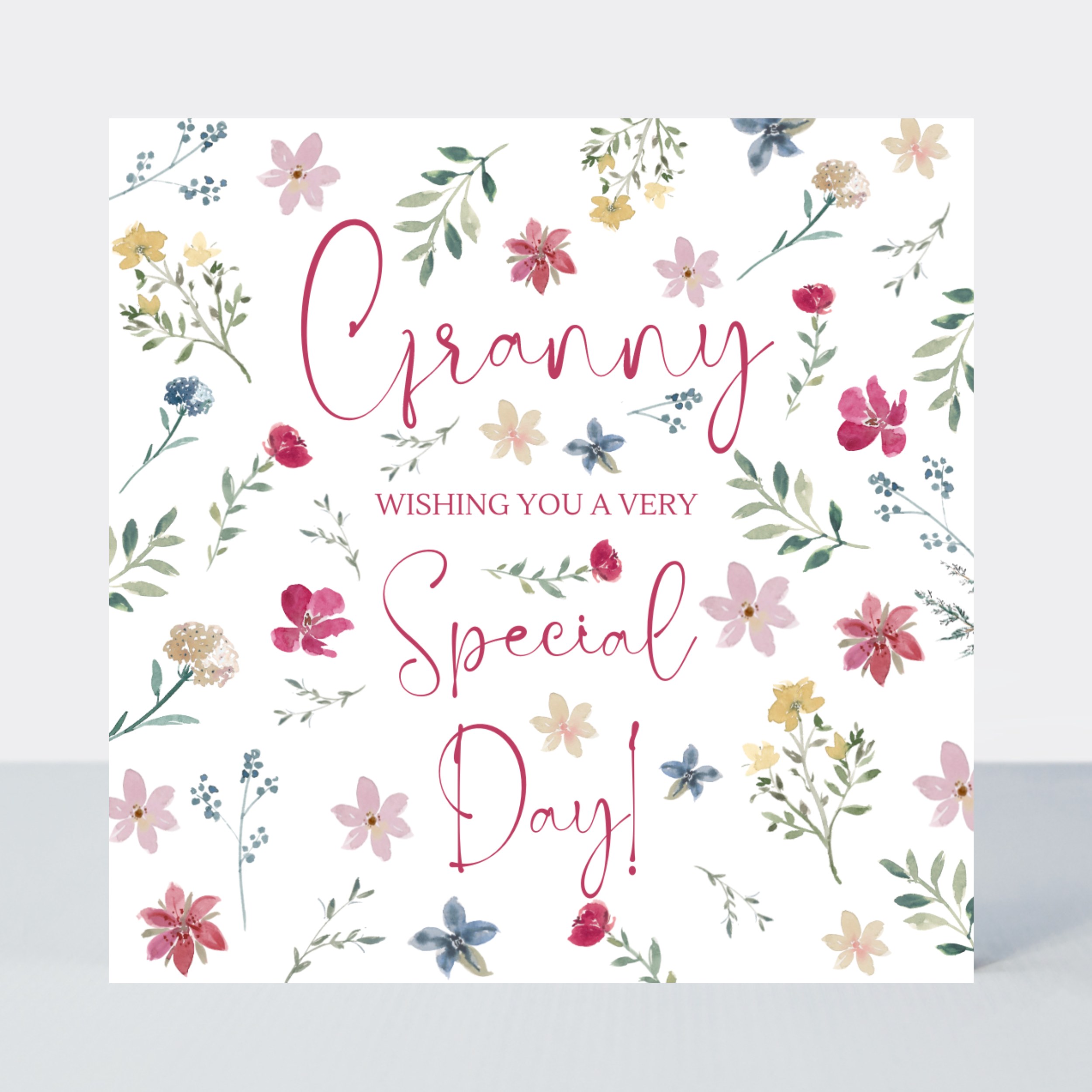 Everglade Granny Special Day Card