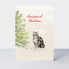 Pawfect Christmas Have Fun Cat Card