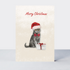 Pawfect Christmas Grey Cat Card