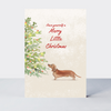 Pawfect Christmas Sausage Dog Card